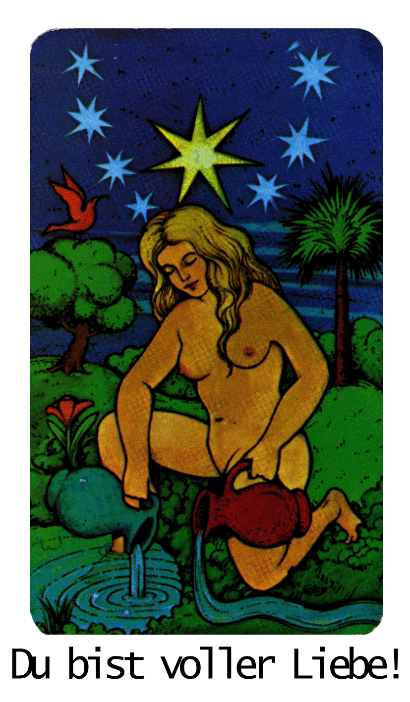 XVII Sterne